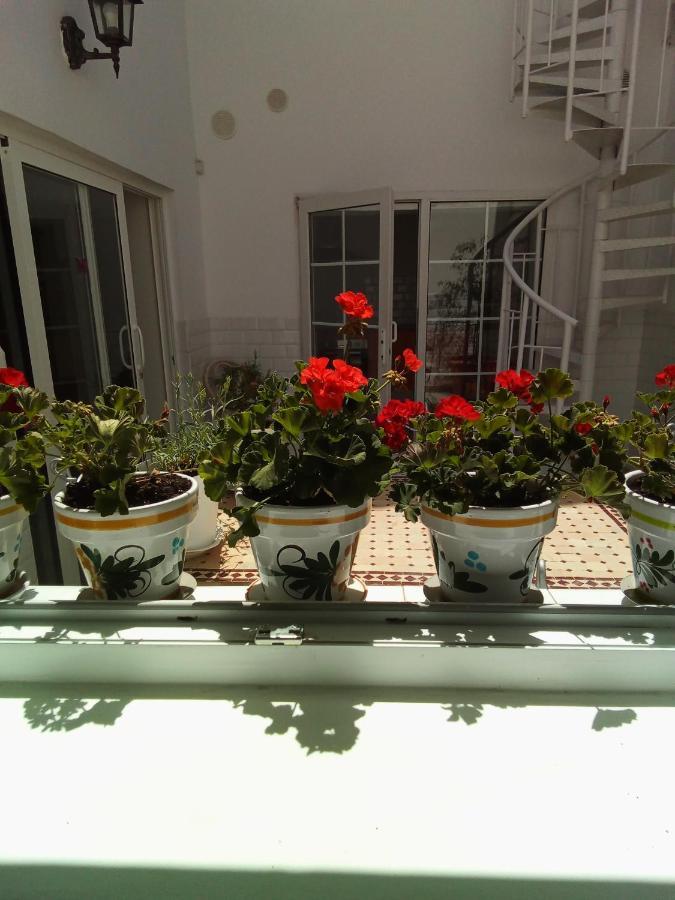 Apartament Casa Alba 1 *