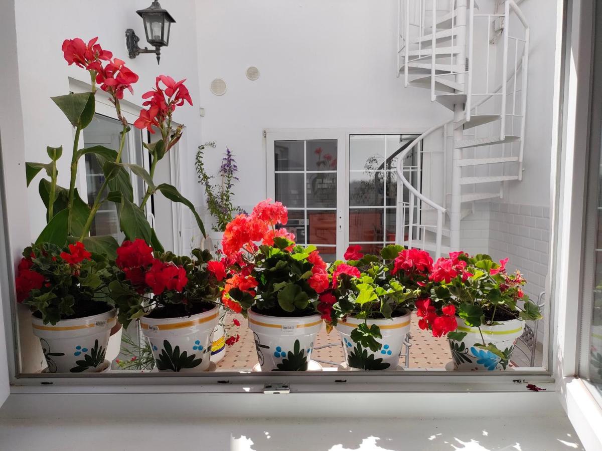 Casa Alba 1 Appartement Puerto del Rosario (Fuerteventura)